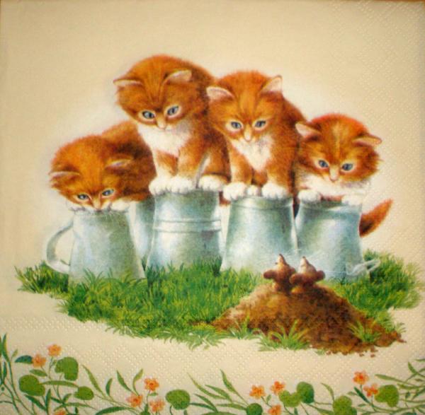 096 Katzen - 3-lagig - Ambiente